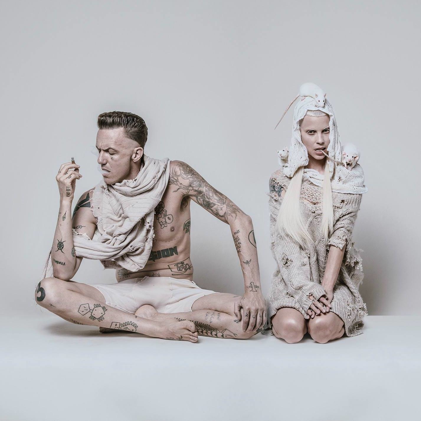 Die Antwoord image