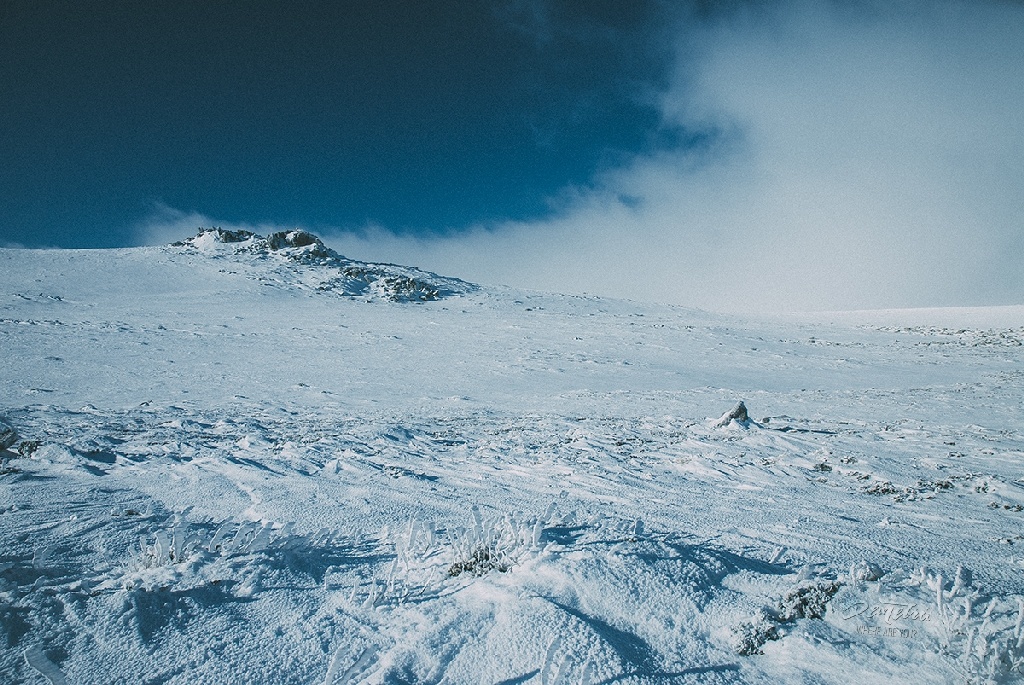 Vitosha image