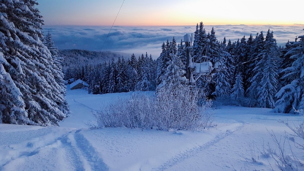 Vitosha image