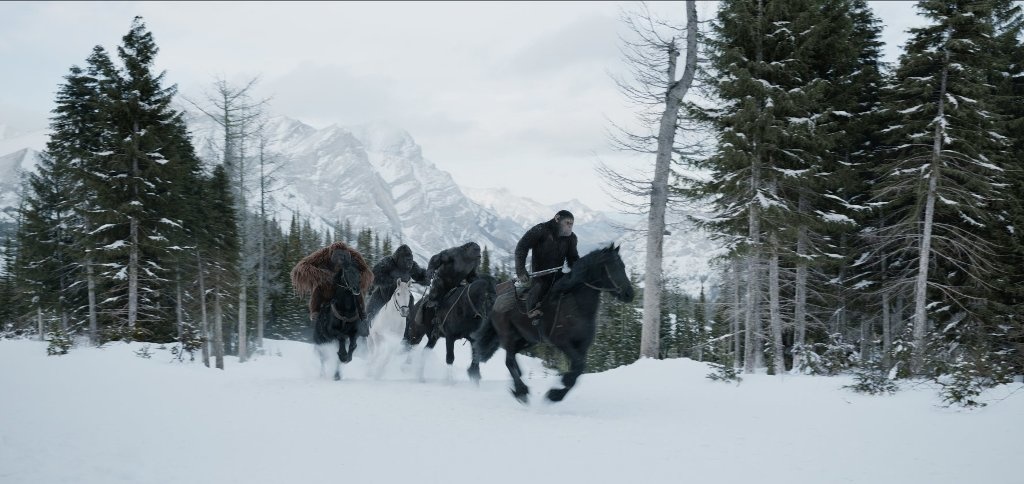 War for the planet of the apes image