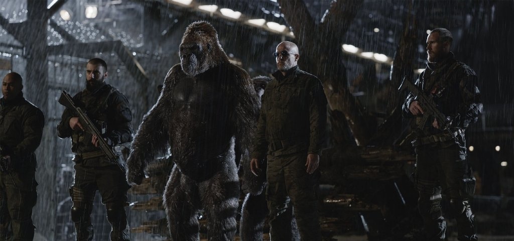 War for the planet of the apes image