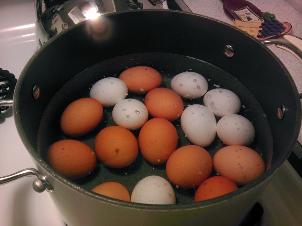 eggs7 image