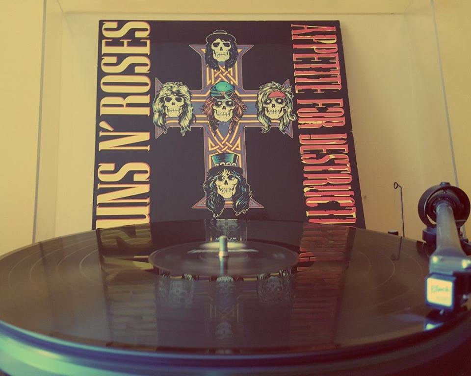 appetite for destruction image