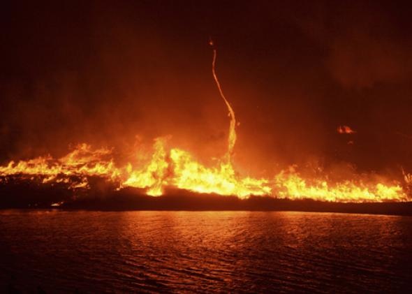 firenado image