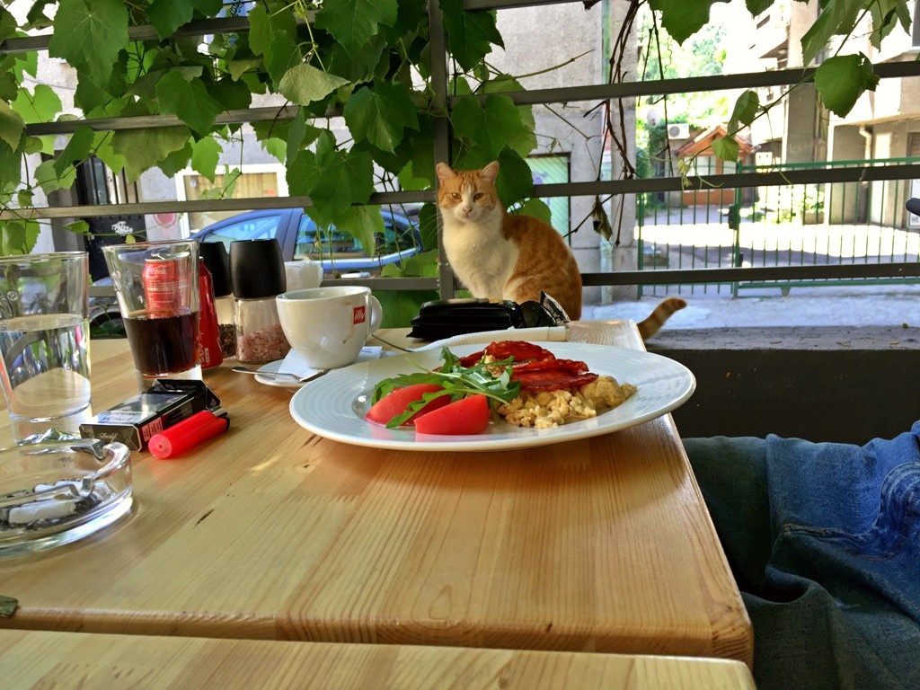 garfield aubergine image