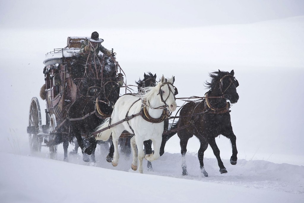 hateful eight image