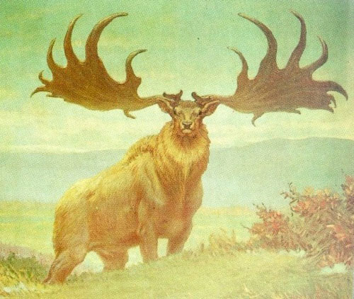 irish_elk image