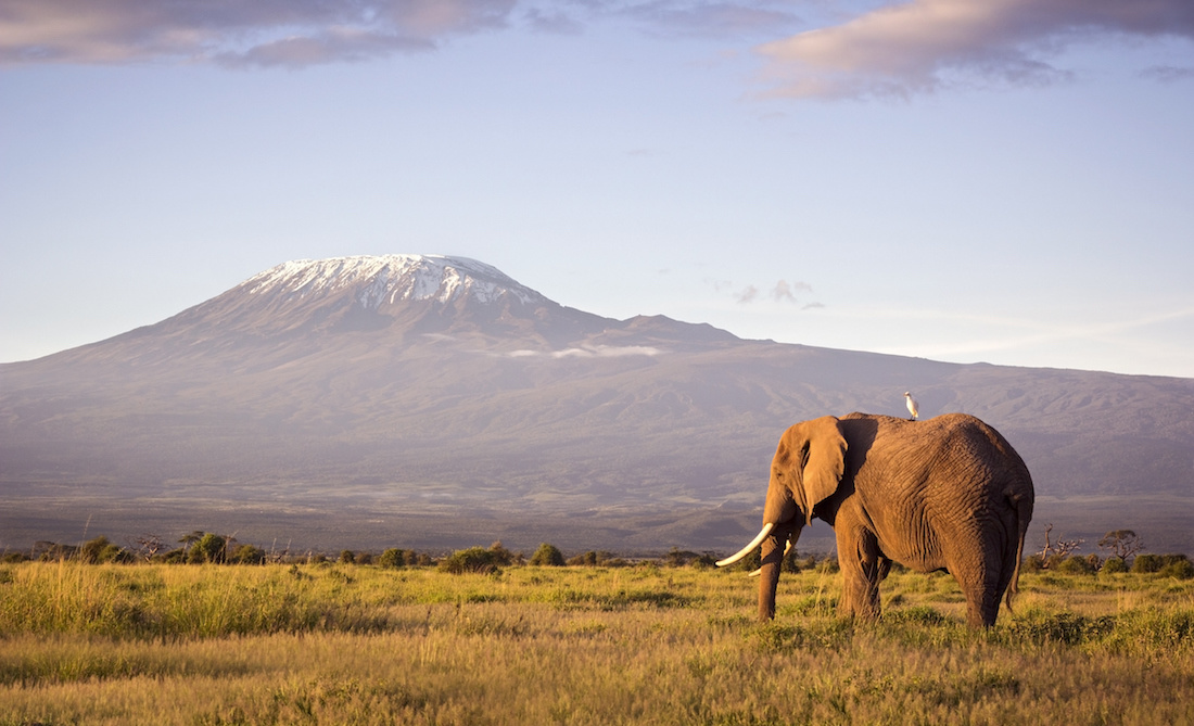 kilimanjaro_1100