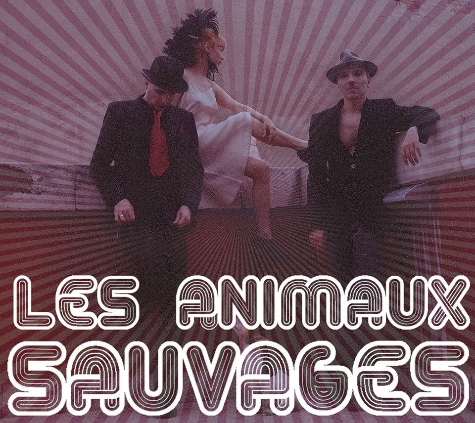 les animauxs sauvages image