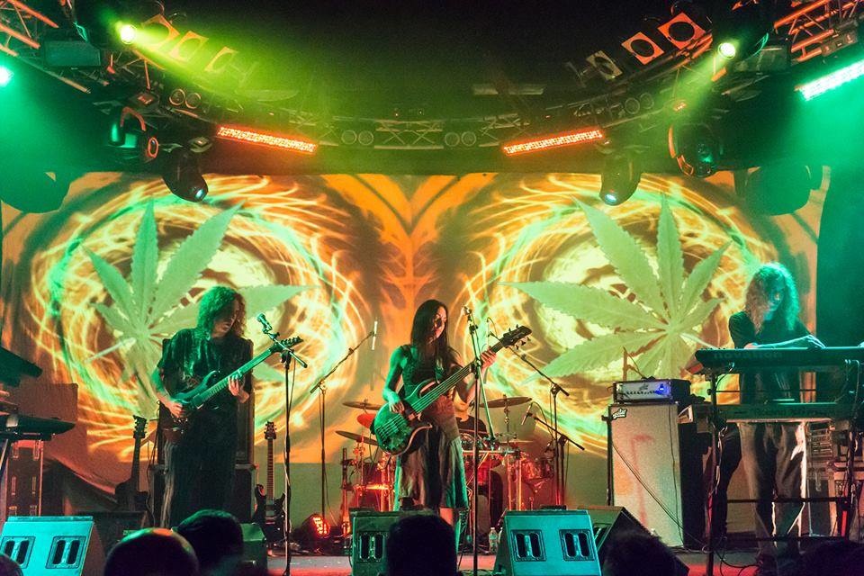 ozric tentacles image