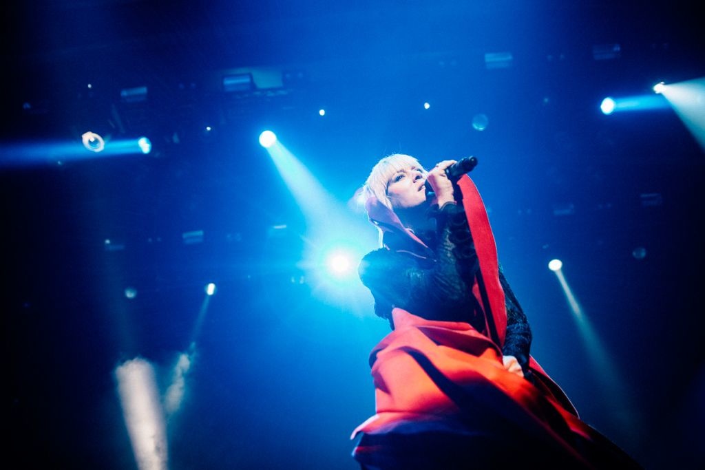 Roisin Murphy image